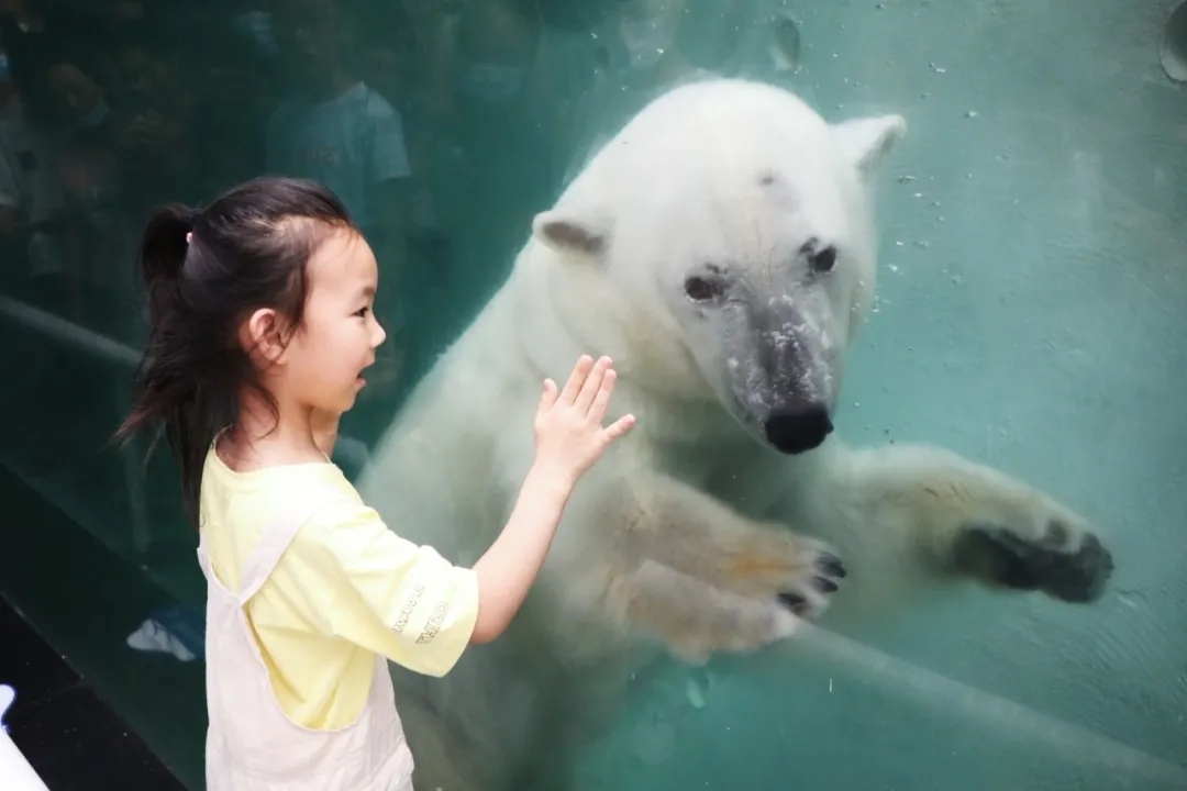 超值丨1大1小僅需258元，還送秦嶺野生動物園親子票